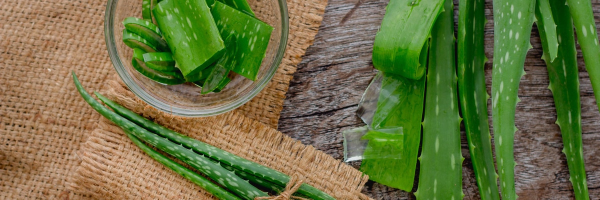 aloe vera gel nu skin Earth Therapeutics, Aloe Vera Soothing Gel