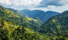 un gran campo verde con Montañas Azules en el fondo