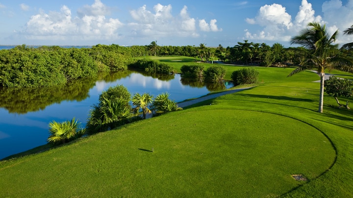 a lush green field next to a body of water