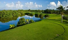 a lush green field next to a body of water