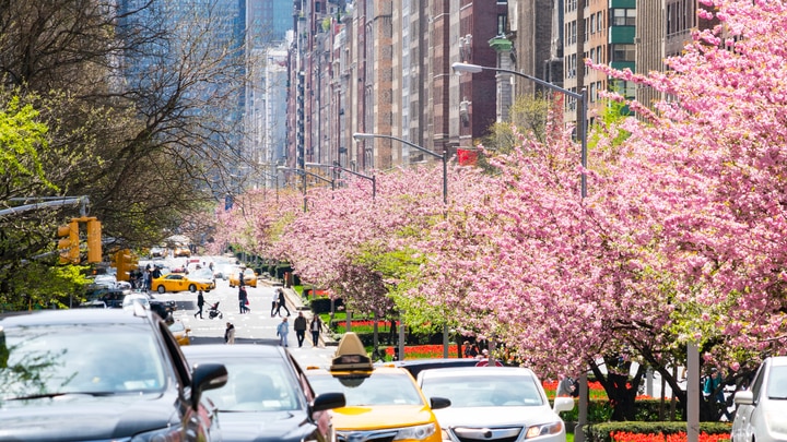 ein Auto, das in der Rockefeller Center Straße mit viel Verkehr geparkt ist