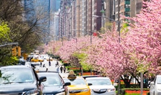 ein Auto, das in der Rockefeller Center Straße mit viel Verkehr geparkt ist