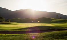 a large green landscape with a sunset in the background