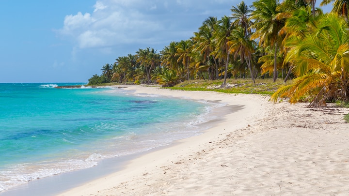 a group of people on a beach