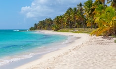 a group of people on a beach