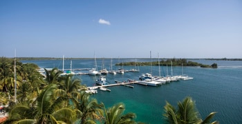 ein großes Gewässer