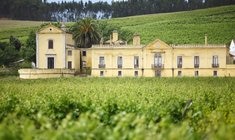 a castle on top of a grass covered field