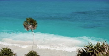 Wasser am Meer