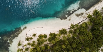 a group of people on a beach
