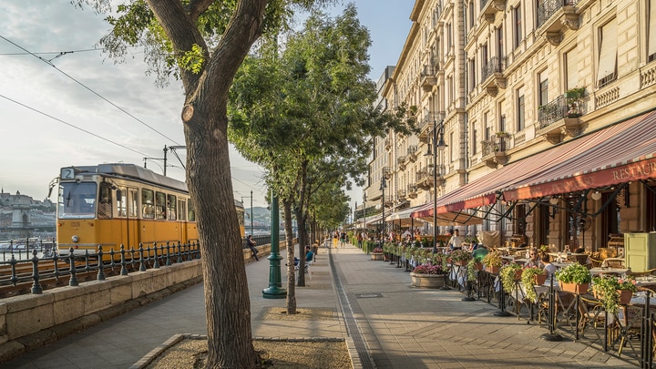 eine schmale Stadtstraße mit Bäumen gesäumt