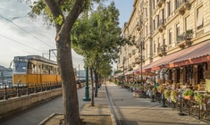 eine schmale Stadtstraße mit Bäumen gesäumt