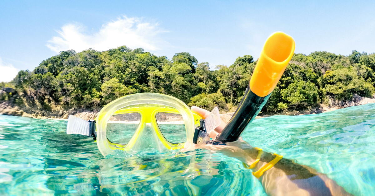Everything you need to know about scuba diving in Cozumel