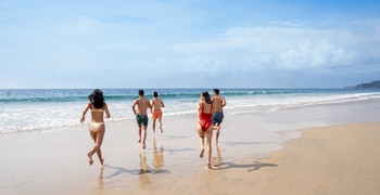 a group of people walking on a beach