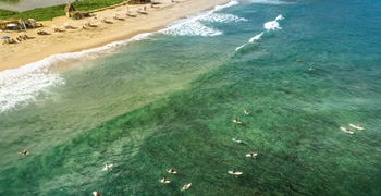 ein Strand mit Menschen, die darin schwimmen