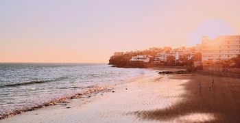 people swimming in the ocean